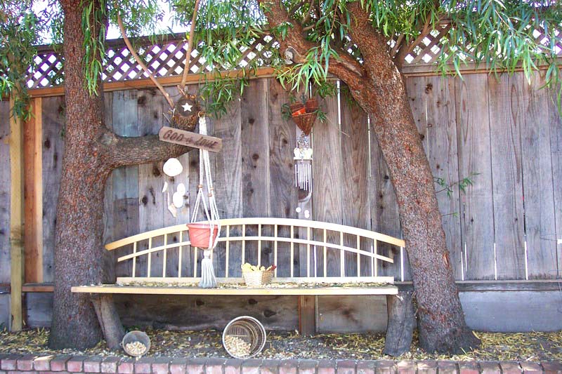 Squirrel Diner